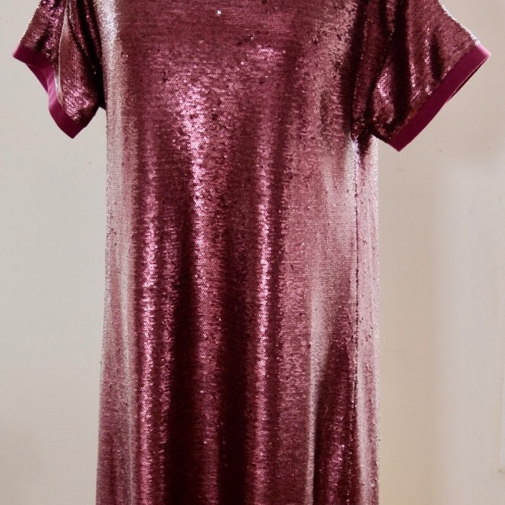 ANTHROPOLOGIE Moulinette Soeurs oversize Sequin T-shirt dress Medium